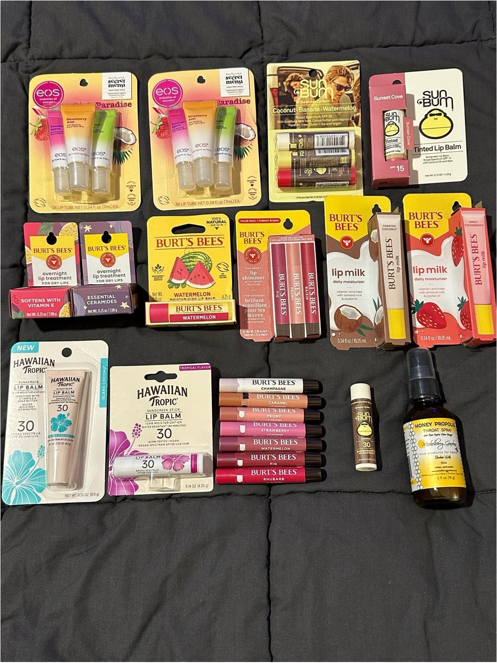 HUGE BEAUTY BUNDLE - Burt’s Bees, EOS, Sun Bum, Hawaiian Tropic & MORE - 25+ PCS